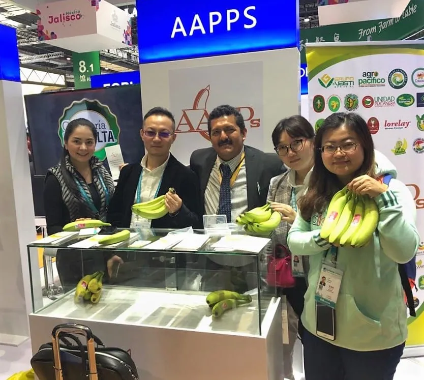 Plátano Chiapaneco Llegará A China El Próximo Año