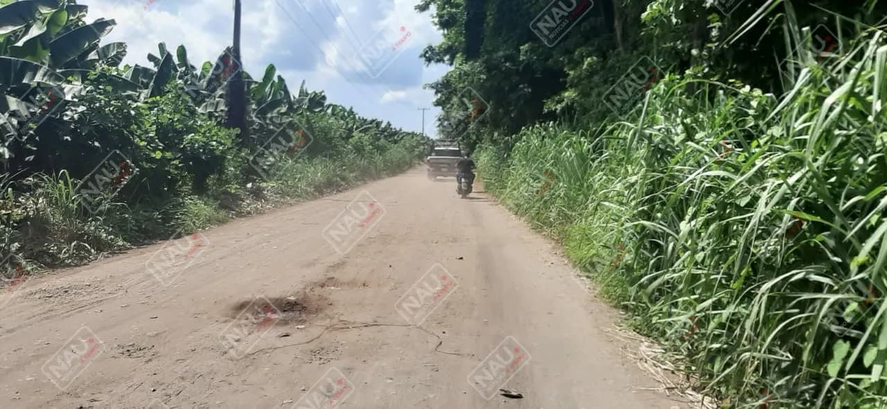 Le dieron un balazo en la cabeza y aún vive