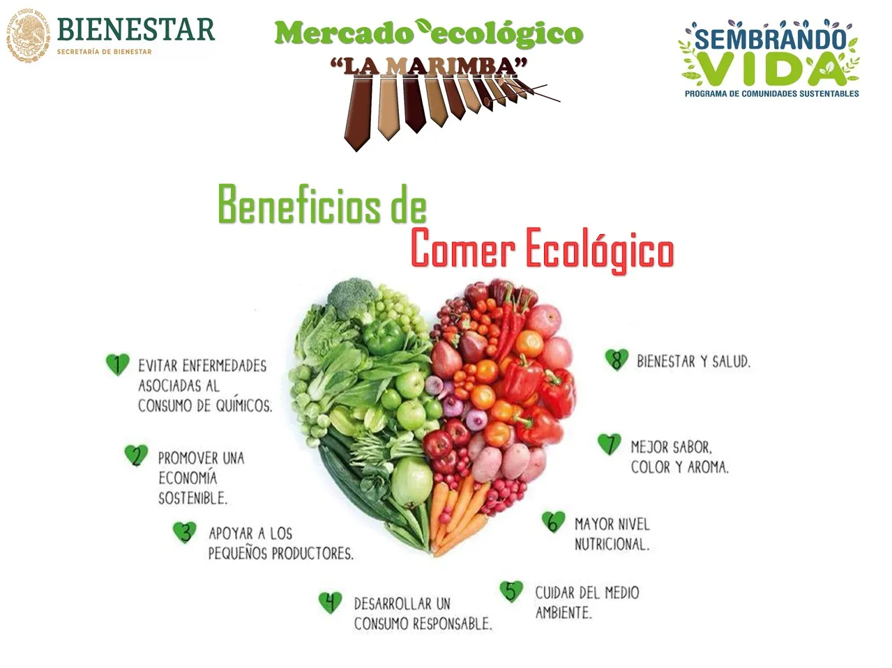 Sembradores Invitan Al Mercado Ecológico “La Marimba”