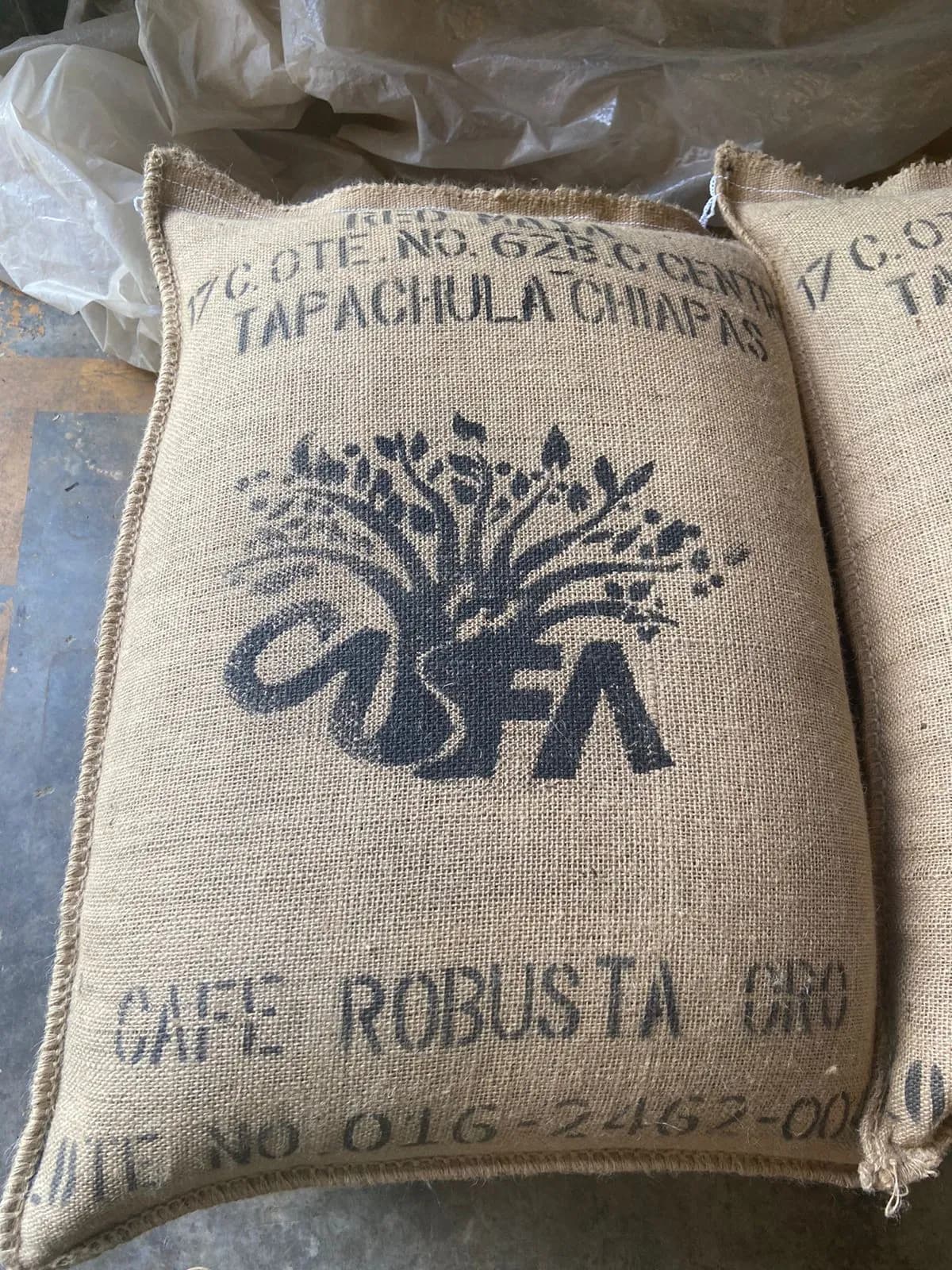 Envían Primer Embarque De Café Robusta Orgánico A Europa
