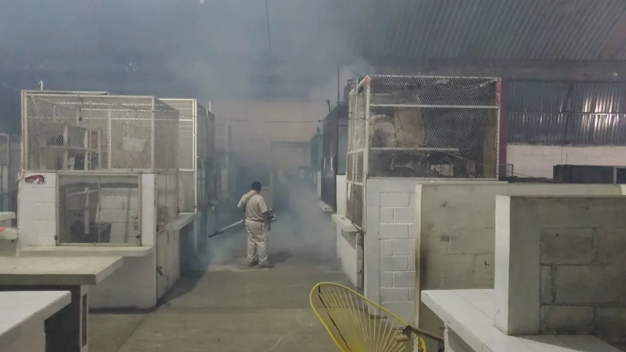 AYUNTAMIENTO COMBATE DENGUE, ZIKA Y CHIKUNGUNYA EN TIANGUIS Y ESPACIOS PÚBLICOS DE TAPACHULA