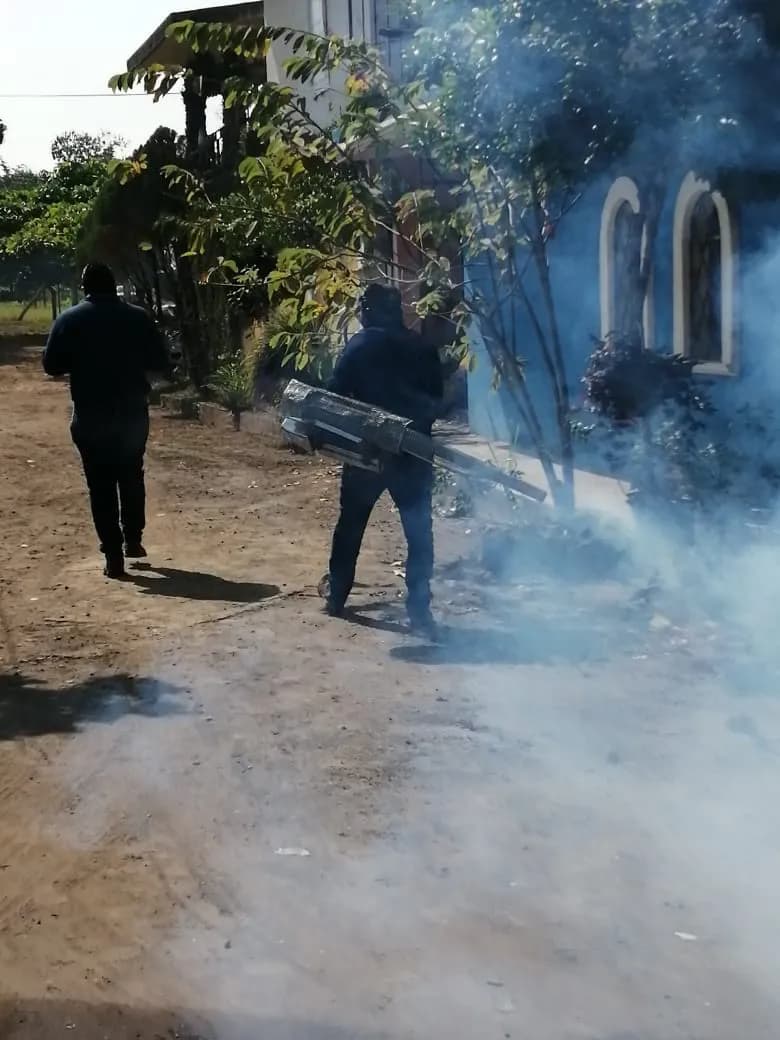 CONTINÚA PROGRAMA DE DESCACHARRAMIENTO EN COLONIAS DE TAPACHULA, PARA EVITAR ENFERMEDADES POR ARBOVIROSIS