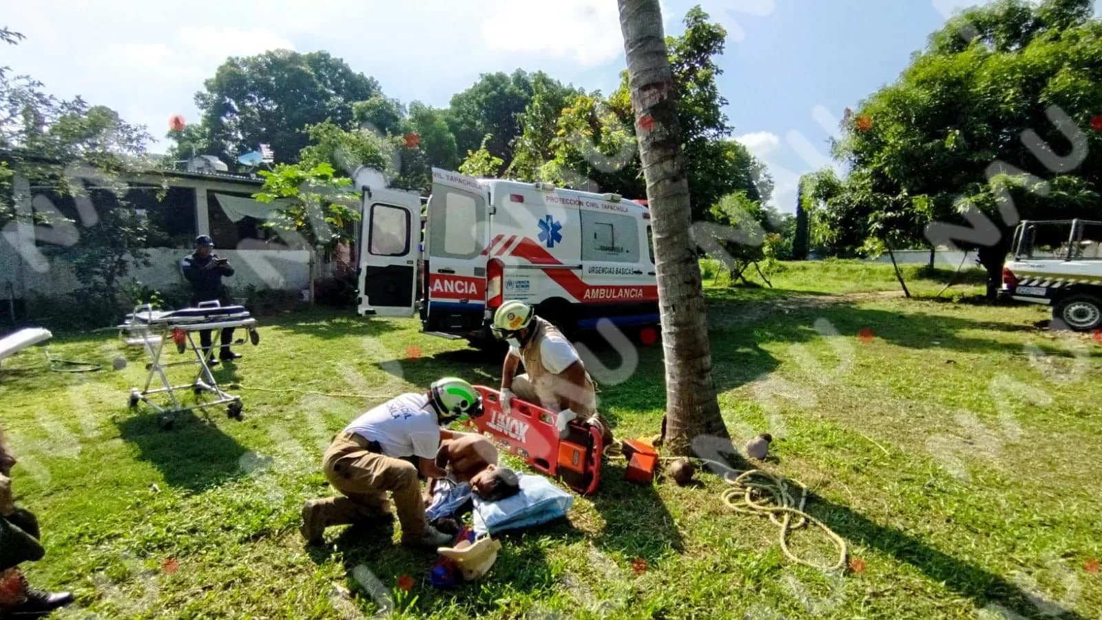 Protección Civil Brinda Atención a Hombre Tras Caída de Una Palmera