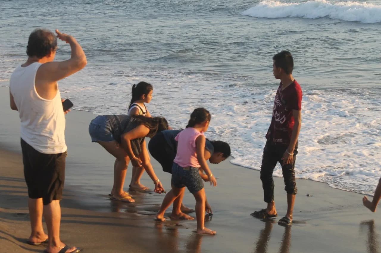 Realizan Liberación De Tortugas En Playas De “El Gancho”, Municipio De Suchiate