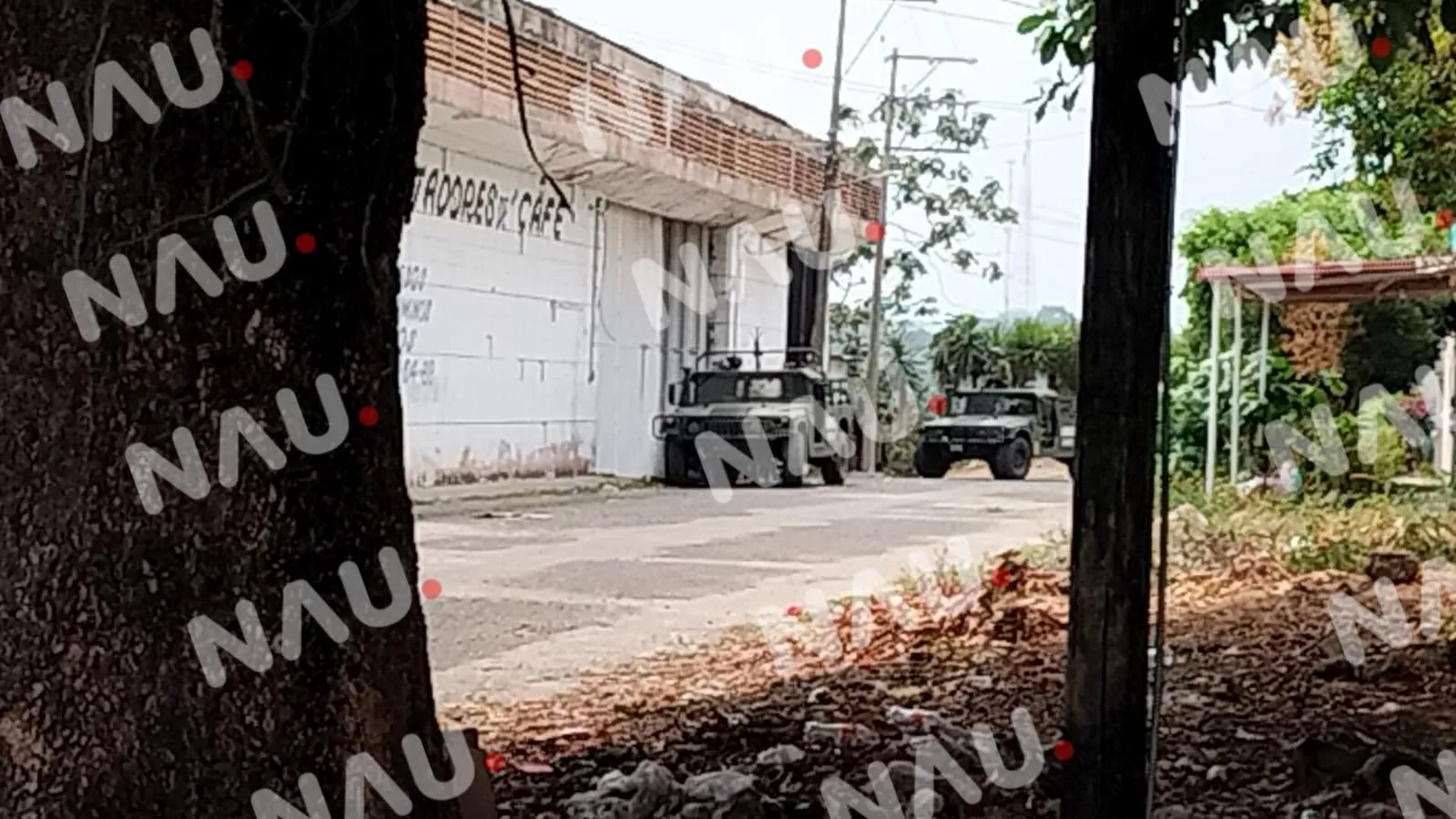 Operativo conjunto asegura a presuntos narcotraficantes y decomisa droga en Tapachula