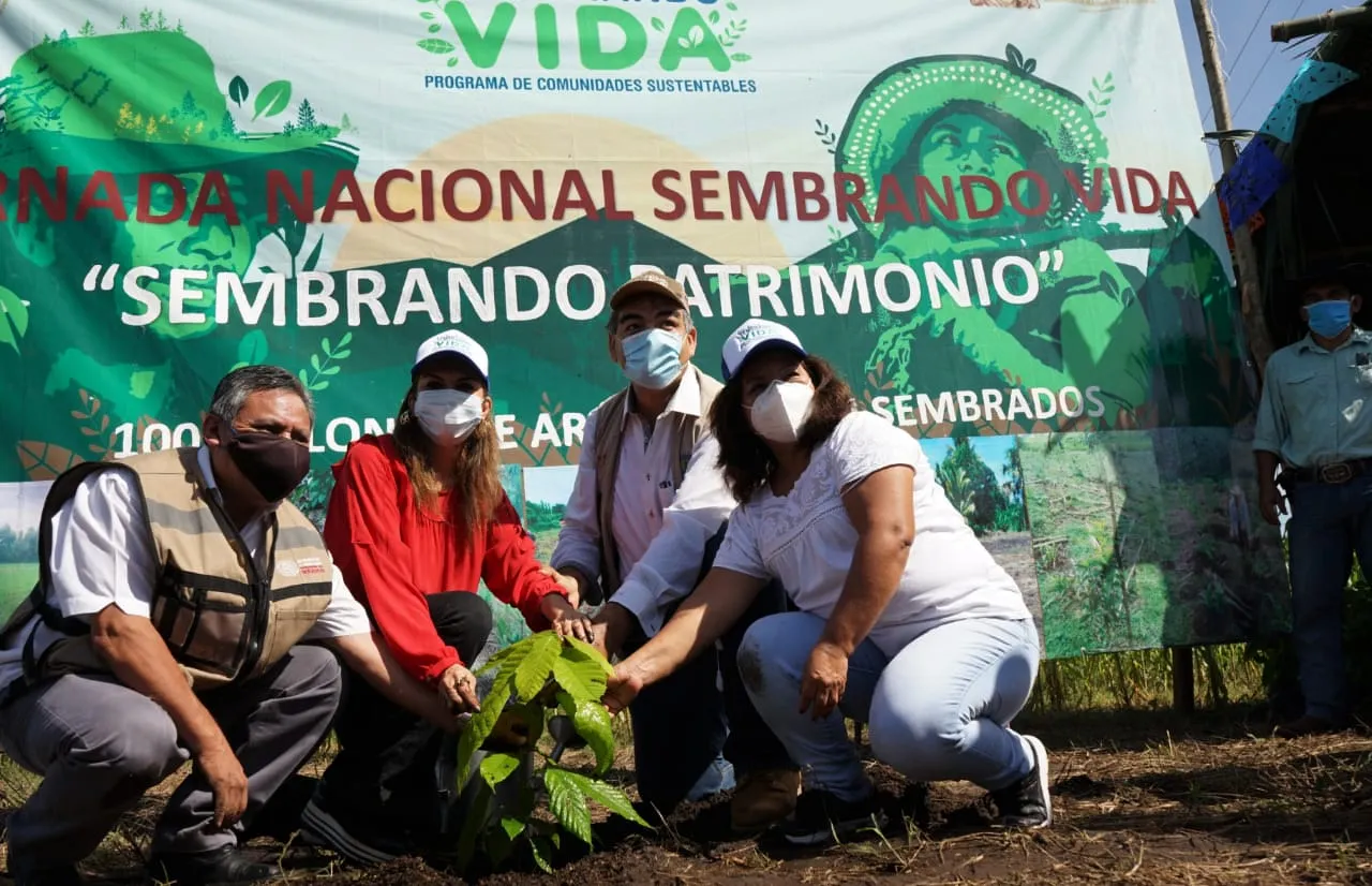 Con Programa Sembrando Vida Se Impulsa La Producción Del Campo En Tapachula