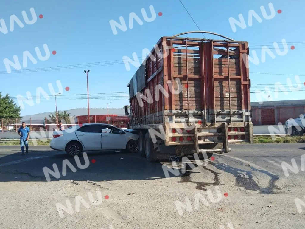 Se le atravesó a un automóvil compacto