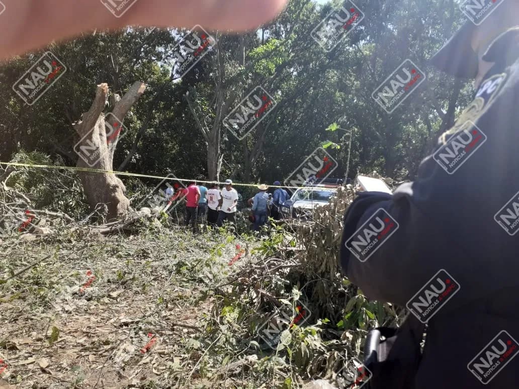 Le cayó una rama que le golpeó la frente y lo mató