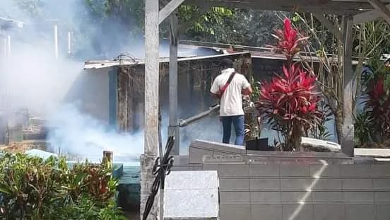 INICIAN JORNADAS DE ELIMINACIÓN DE CRIADEROS EN PANTEONES DE TAPACHULA