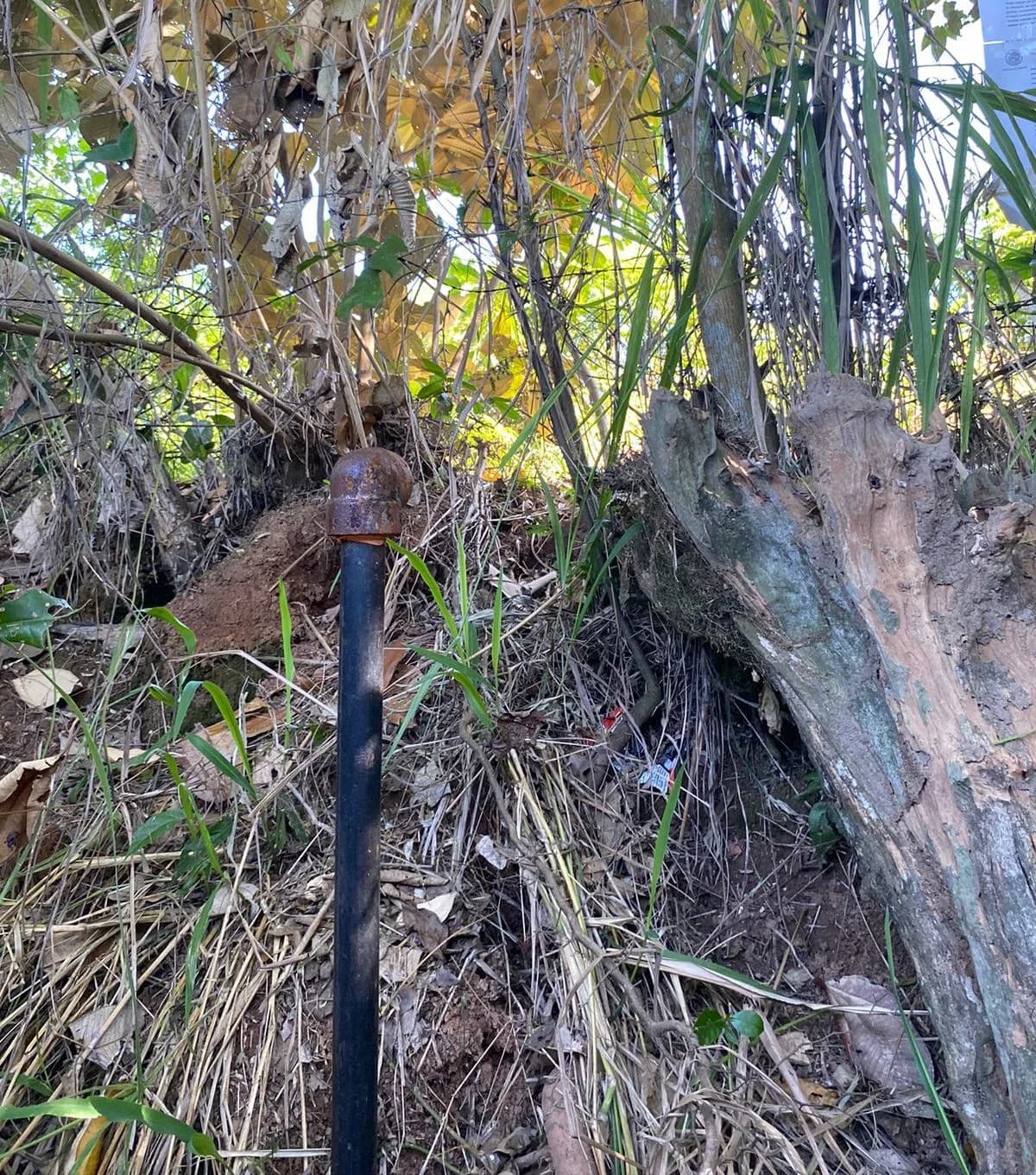 ASEGURA LA PFM TOMA CLANDESTINA DE HIDROCARBURO EN CHIAPAS