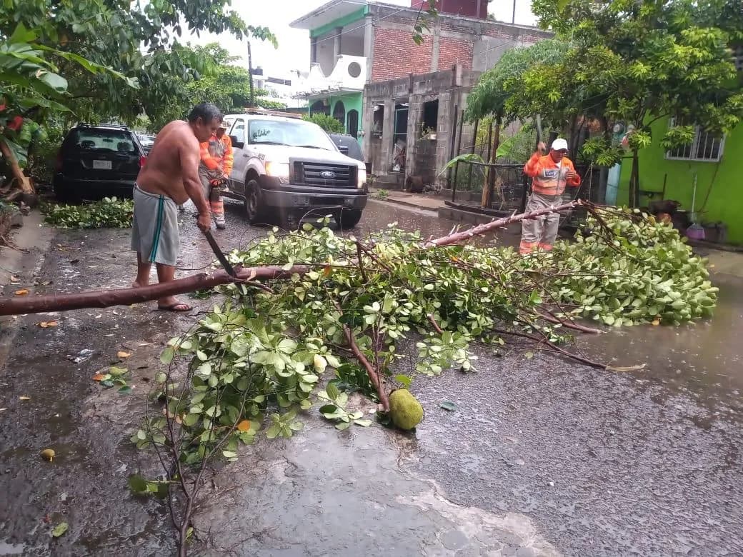 PROTECCIÓN CIVIL MUNICIPAL ATIENDE AFECTACIONES MENORES POR VIENTOS FUERTES