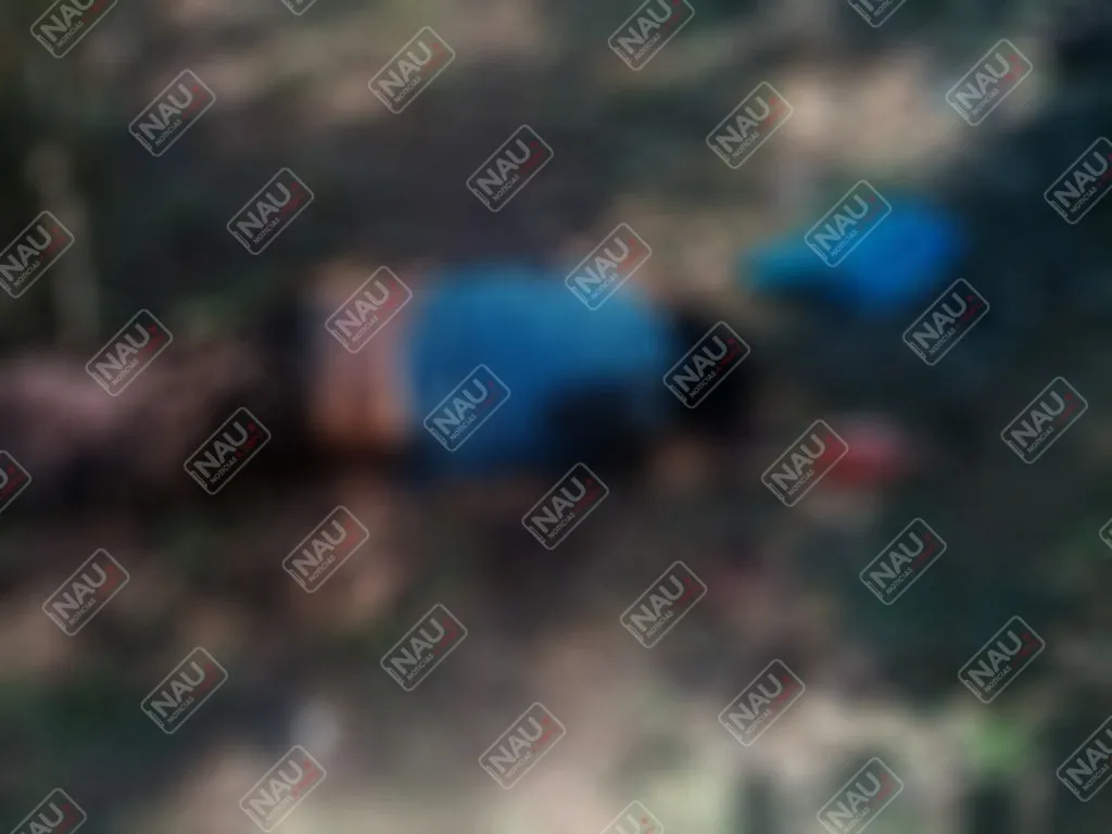 Le dieron en la cabeza con un objeto contundente y quedó sin vida