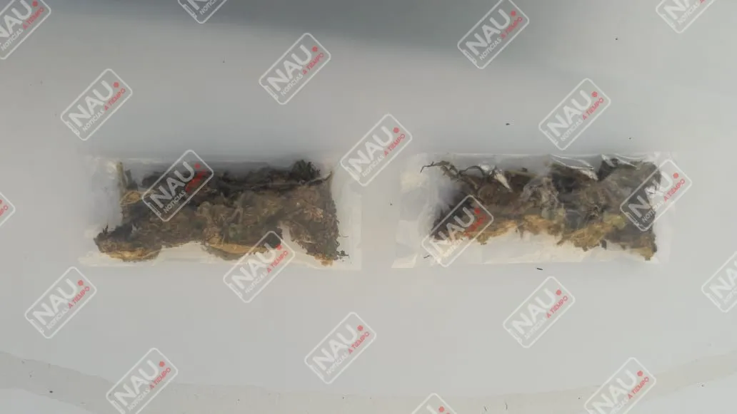 En diferentes acciones detienen a dos personas con posesión de marihuana