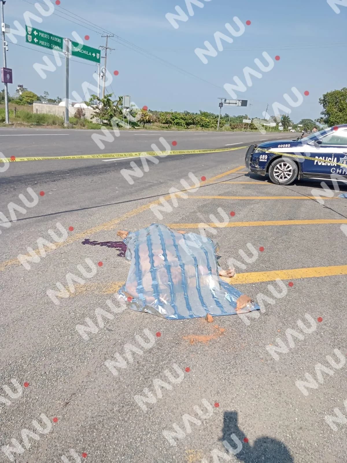 Muere una persona atropellada en la carretera Tapachula – Puerto Madero