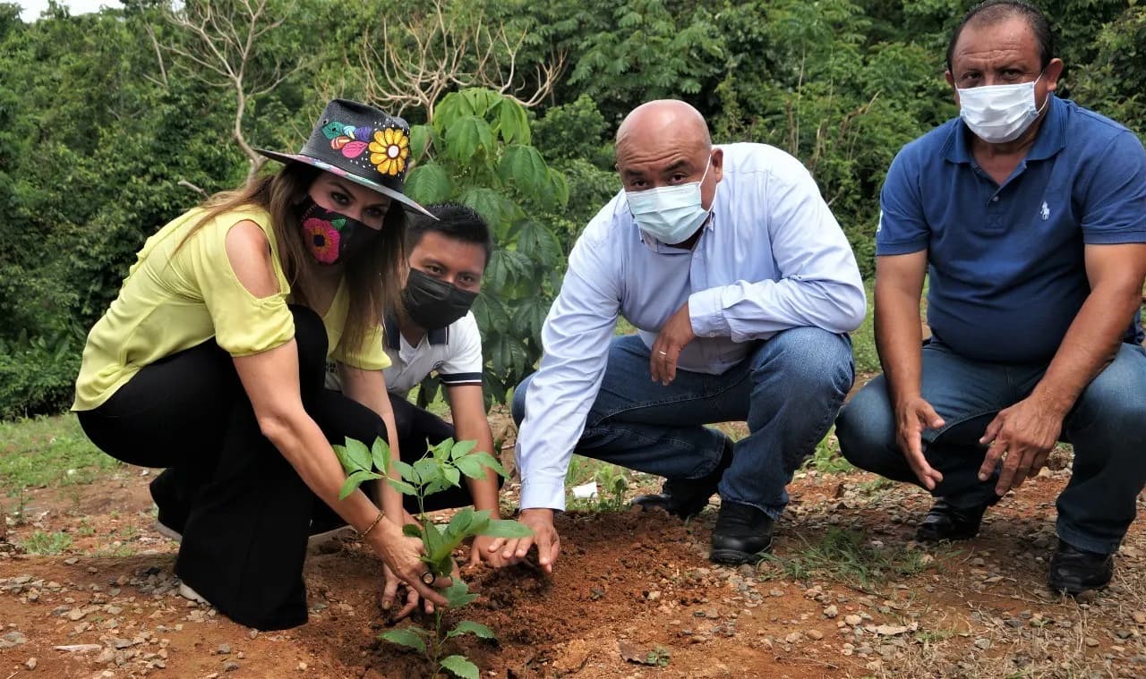 ENTREGA AYUNTAMIENTO DE TAPACHULA ÁRBOLES MADERABLES Y FRUTALES EN EL EJIDO 20 DE NOVIEMBRE
