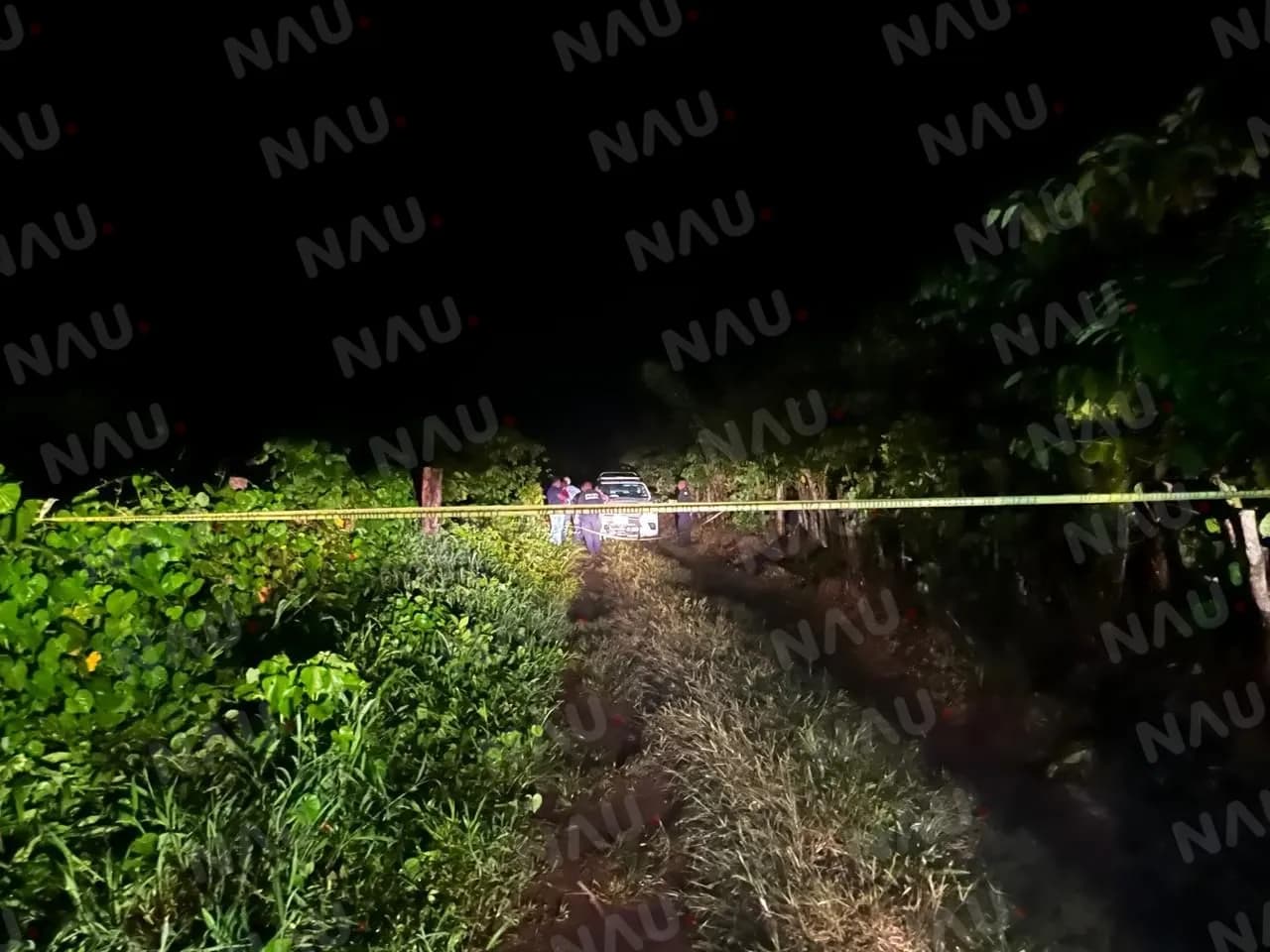 Asesinan a jornalero guatemalteco mientras robaba café en la zona media alta de Tapachula