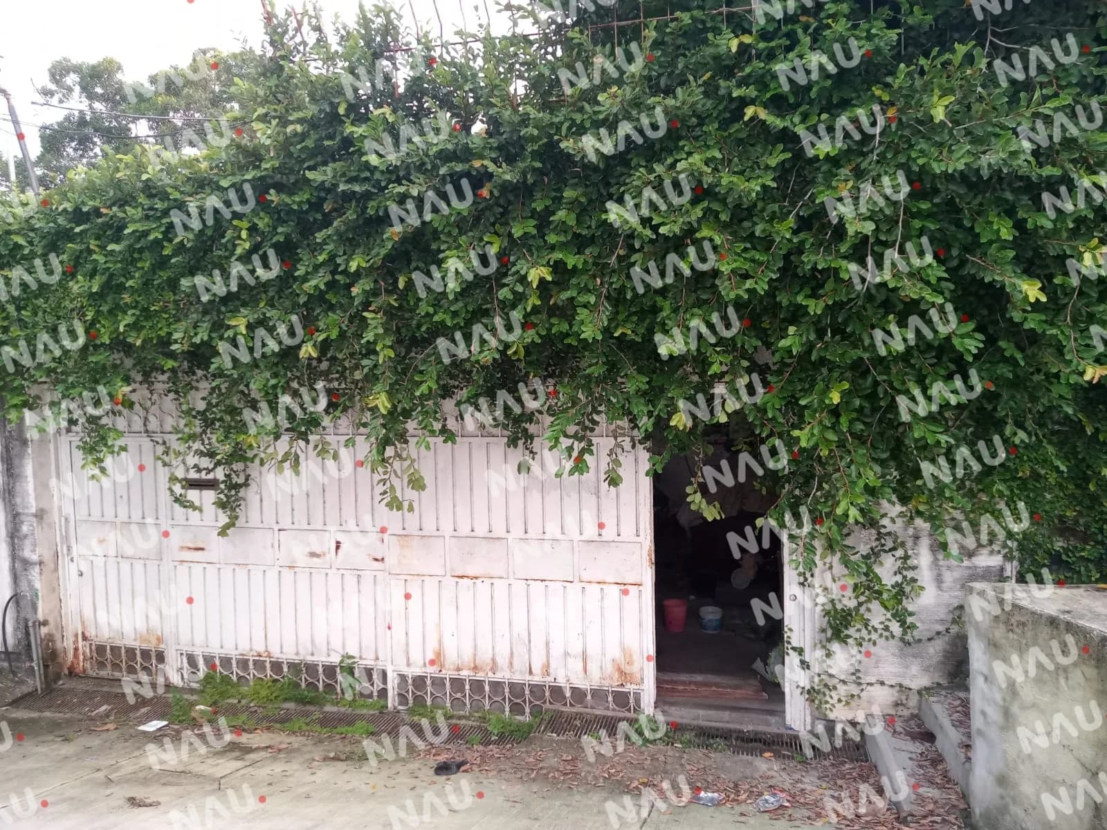 Murió abandonado en una casa