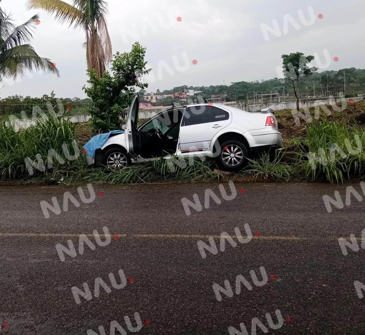 Conductor de vehículo Jetta de salió de la carretera