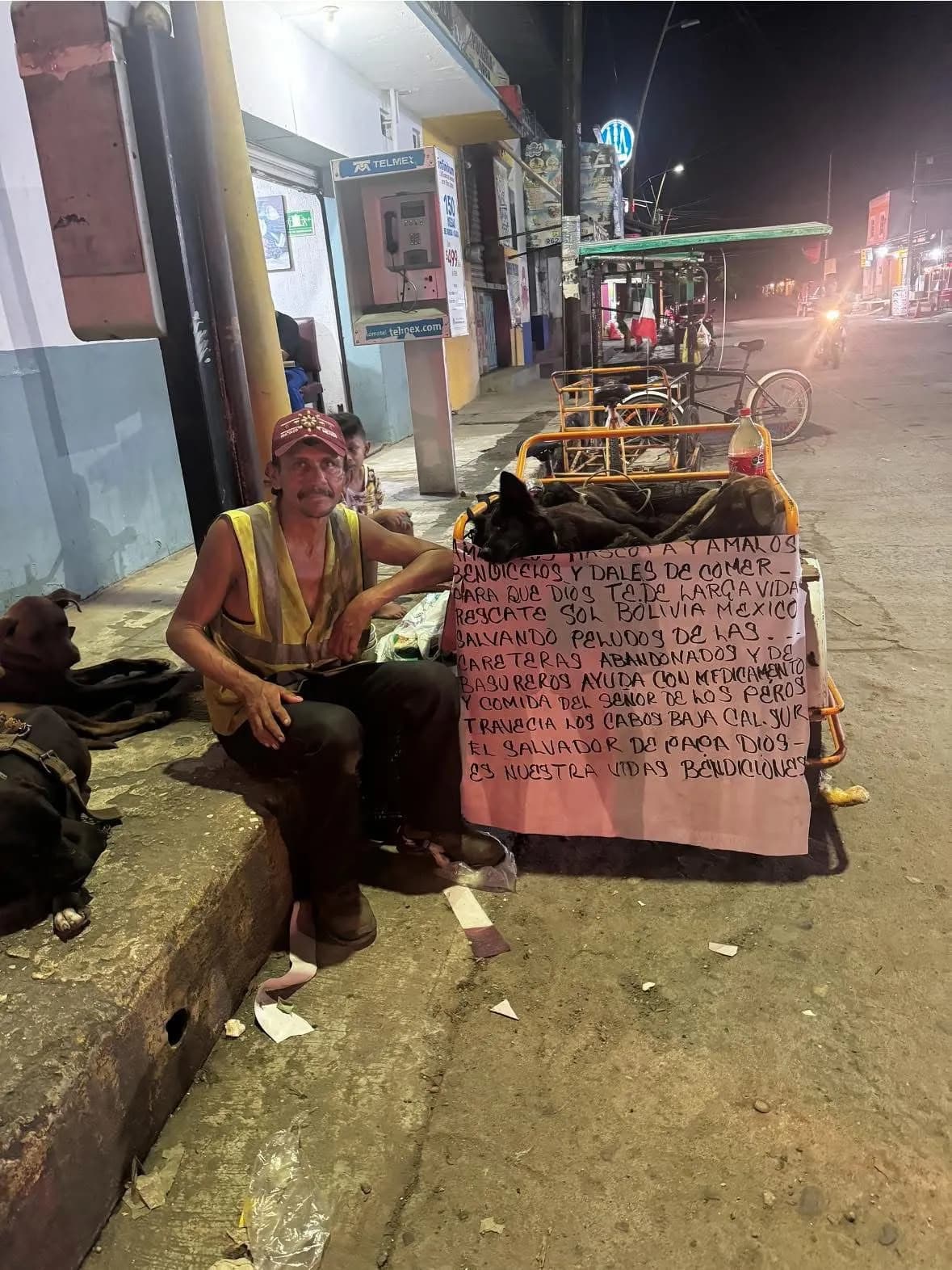 Don Roberto y su manada: un viaje de amor y rescate animal