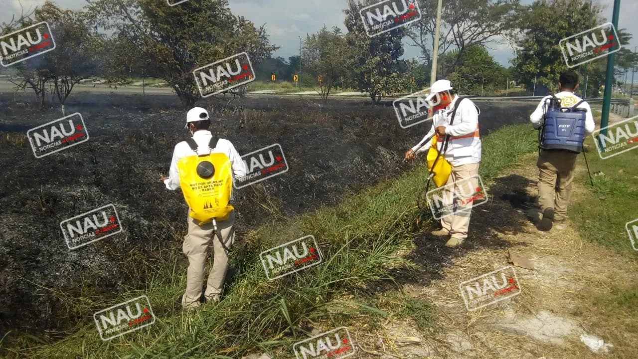 PC de Tuxtla Chico suma esfuerzos para combatir incendio de pastizal.