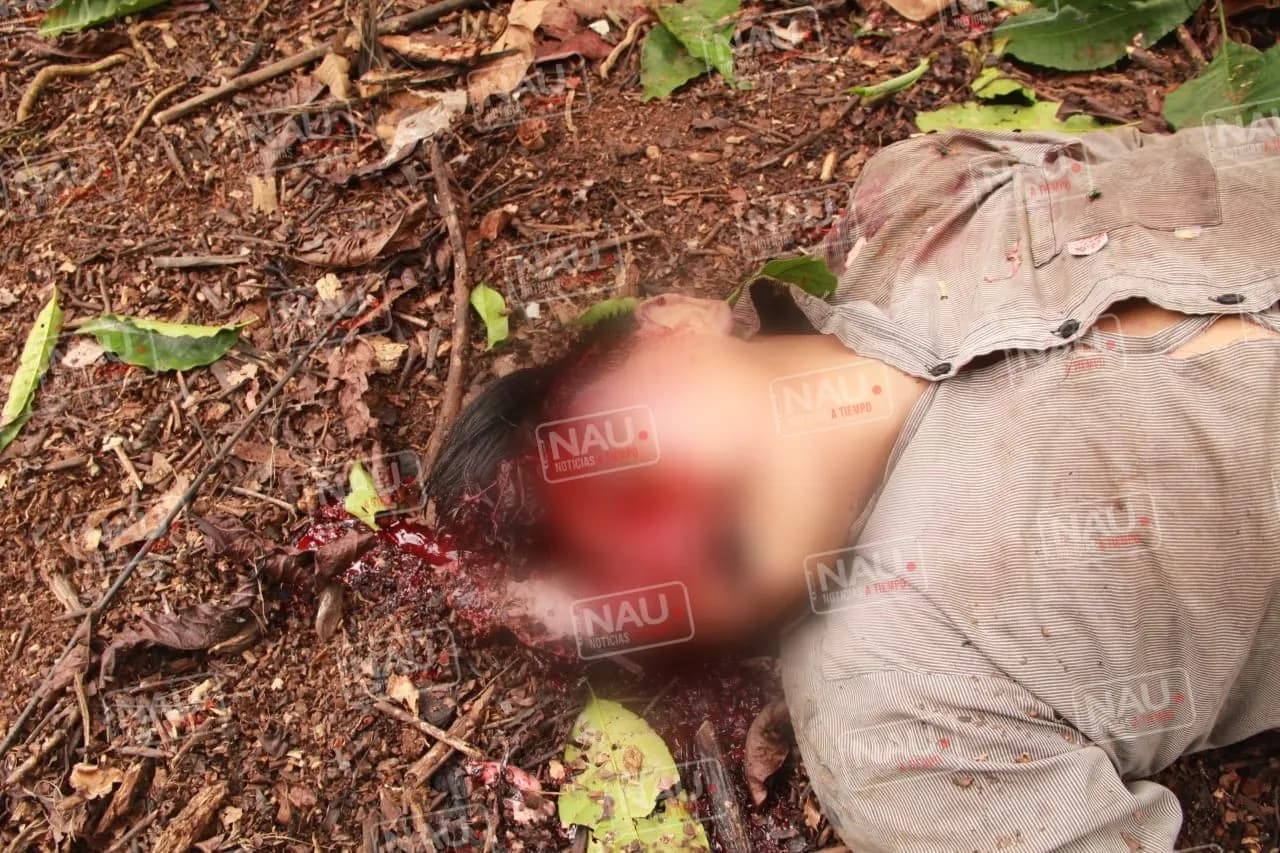 Guatemalteco falleció al caer de cabeza de un palo de coco en la zona media alta de Tapachula