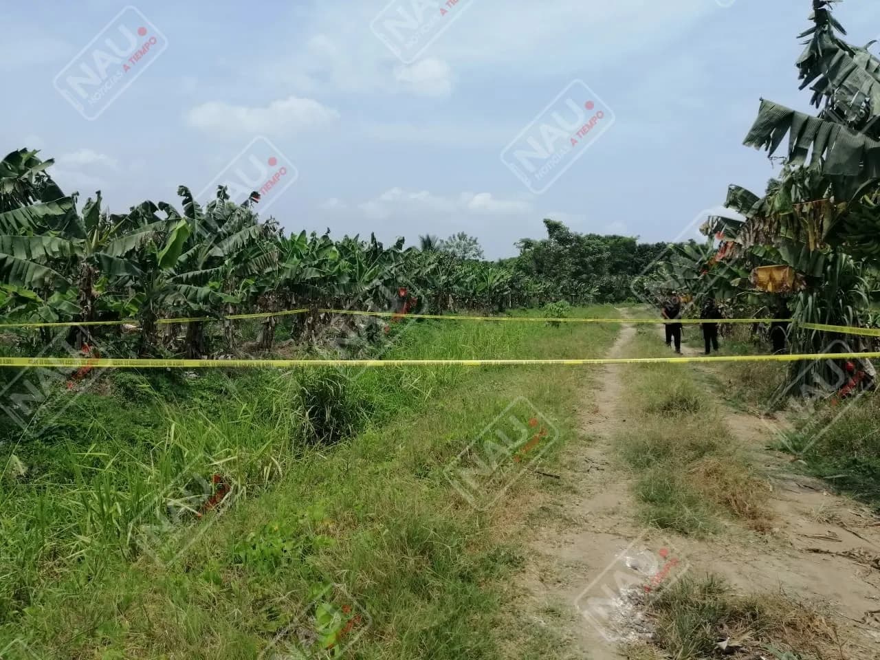 Mujer fue asesinada desde el pasado 10 de mayo
