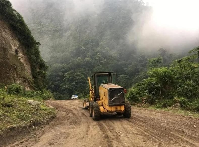 🌳🚧 ¡ALERTA EN LA CARRETERA A NUEVA ALEMANIA! ADVIERTEN RIESGO POR ÁRBOLES INCLINADOS