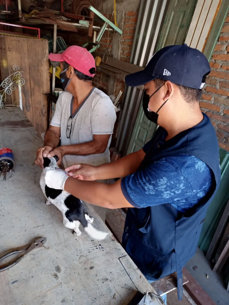 INICIA NUEVA JORNADA DE VACUNACIÓN ANTIRRÁBICA EN TAPACHULA
