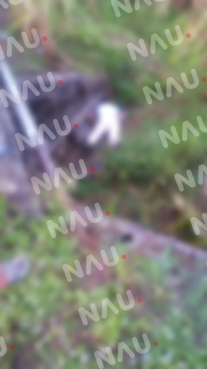 Muere una persona al caer de un puente en el municipio de Huixtla