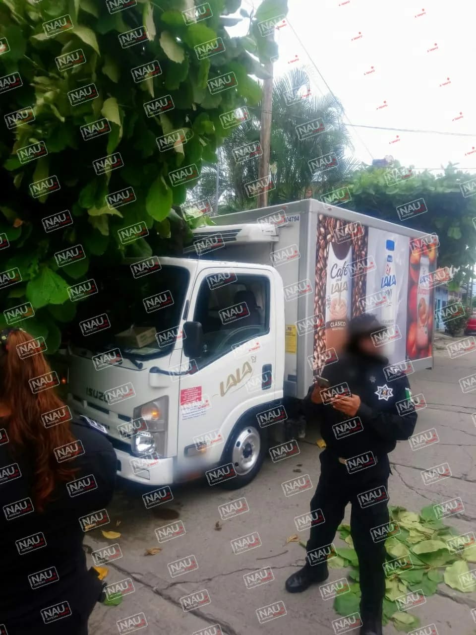 Conductor de la empresa Lala sufre infarto y se estrelló contra un árbol de almendra.