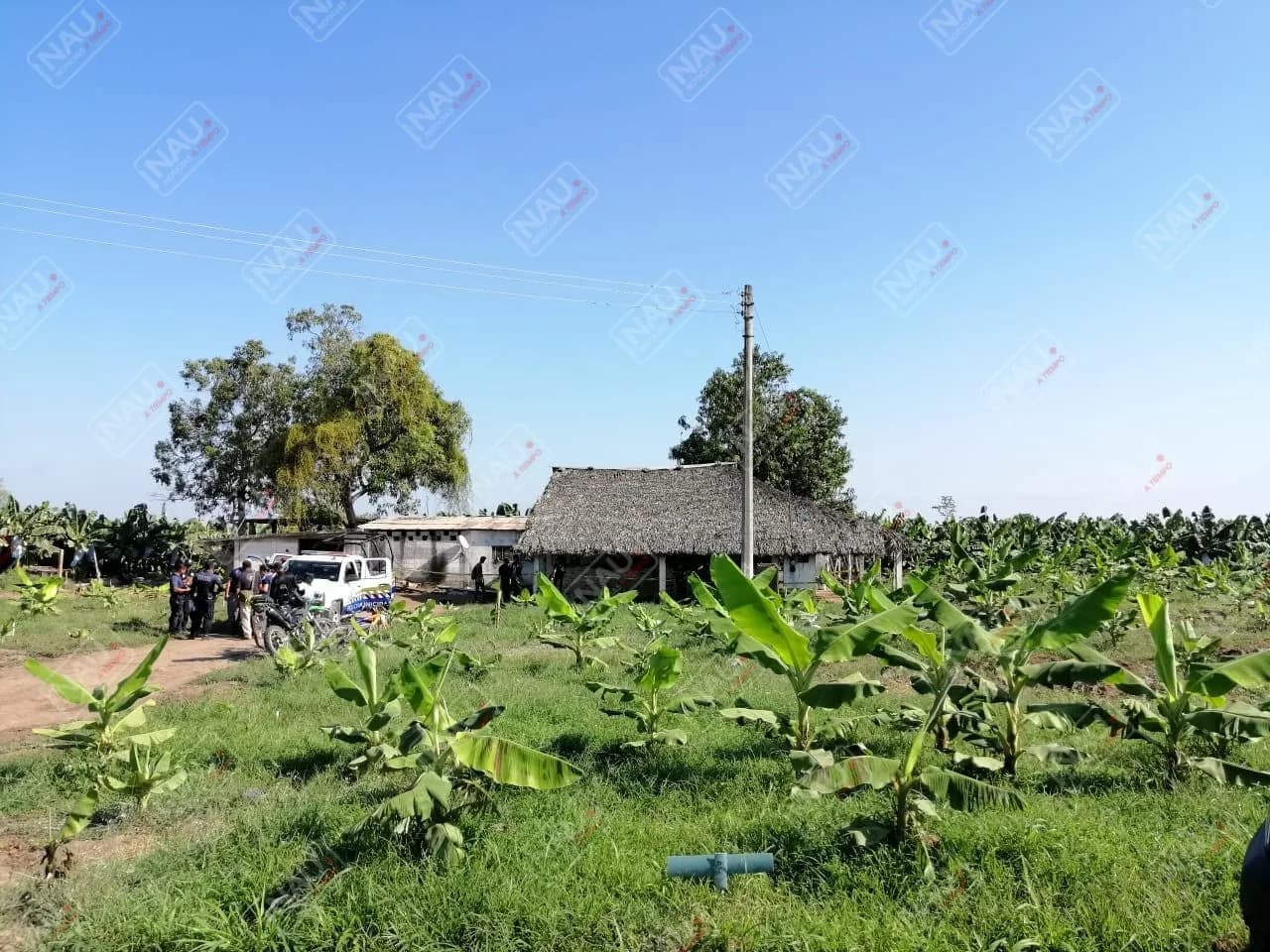 Asesinan a velador de un rancho en Suchiate
