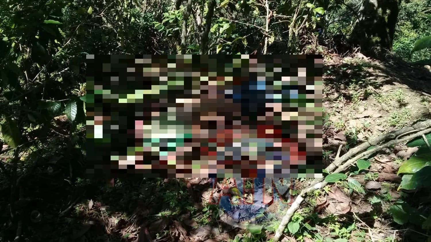 Se cayó en un barranco