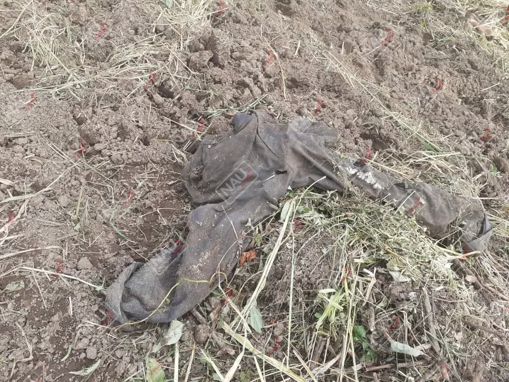 Localizan osamenta en el rancho Santa Teresa
