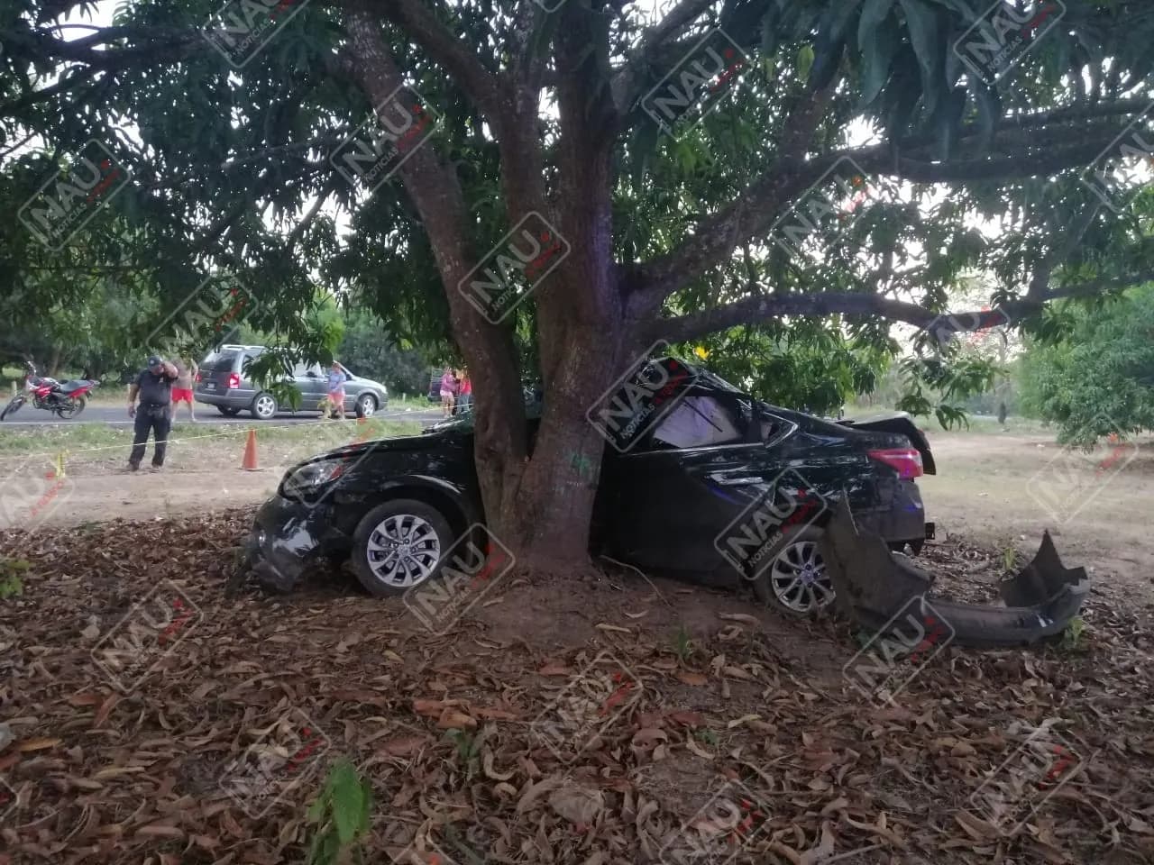 Falleció al instante al chocar su vehículo contra un árbol de mango en Mazatán