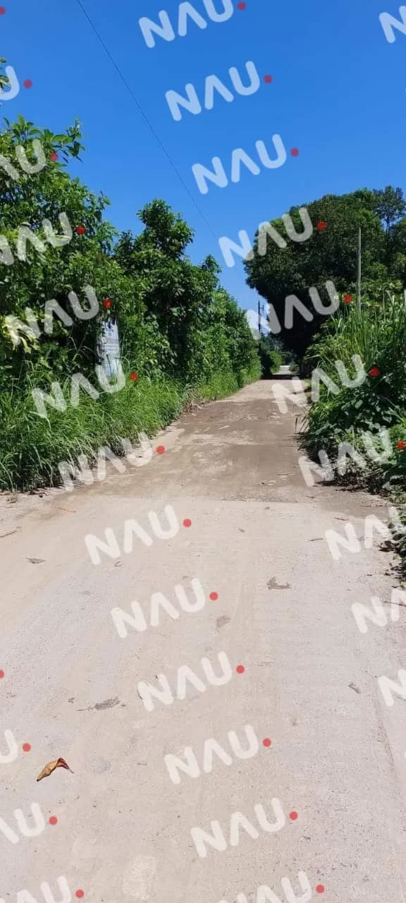 Presidente de Tuxtla Chico quiere reelegirse