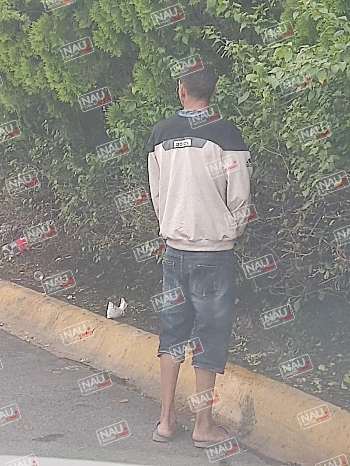 Migrantes utilizan jardineras del bicentenario como Baño Público.