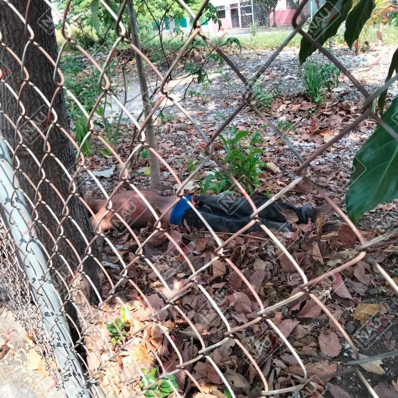 Indigente muere en un predio