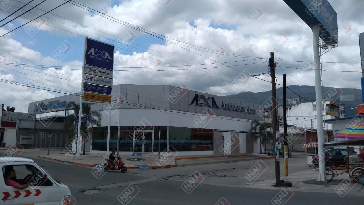 Terminales de transporte ya funcionan
