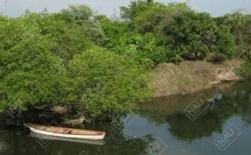 Por descuido de la abuela muere ahogado un niño