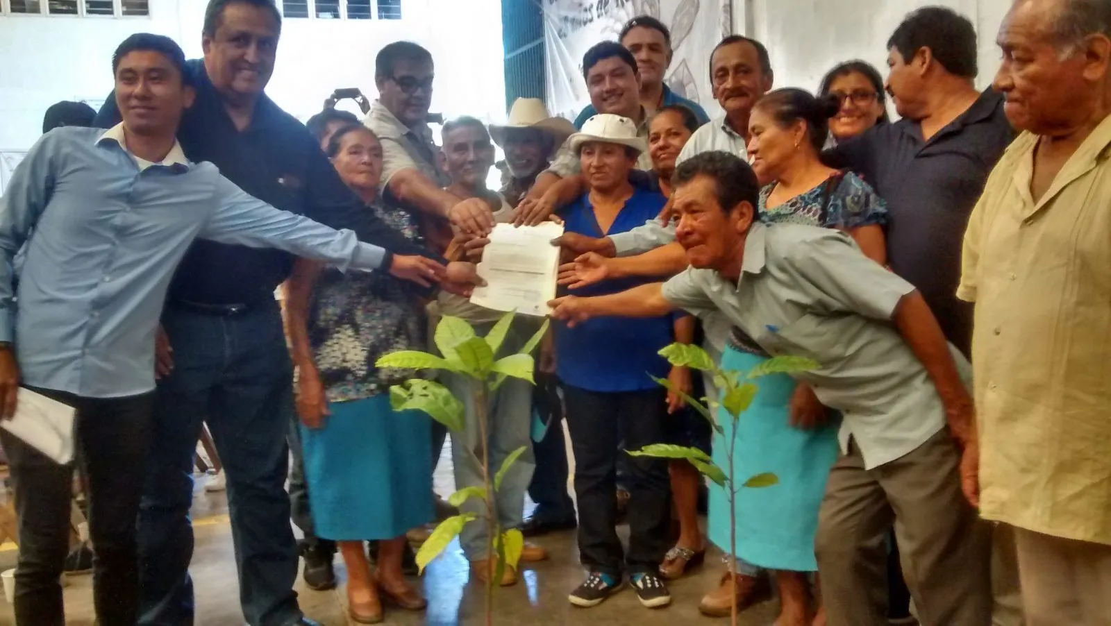 Realizan Con Éxito 6º. Foro Sobre El Cacao Real Del Soconusco