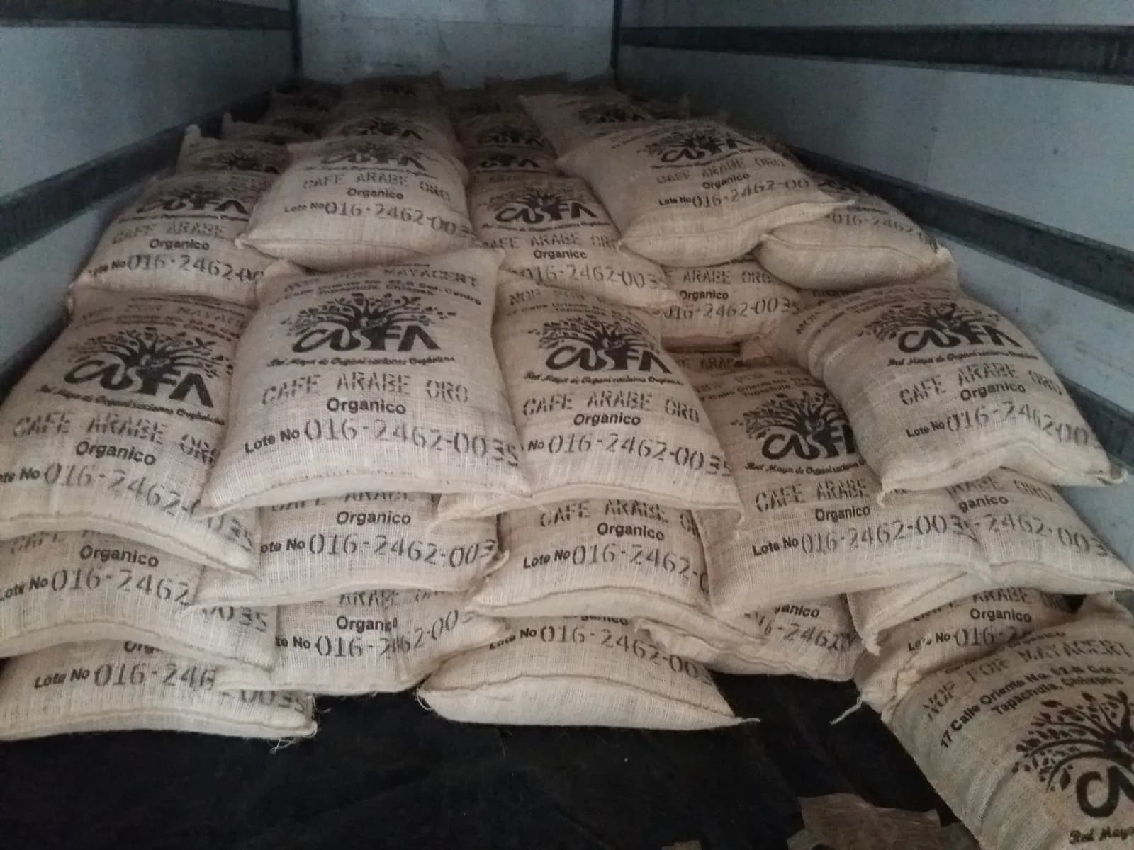 Exportan Lote De 19 Toneladas De Café Orgánico Certificado A Estados Unidos