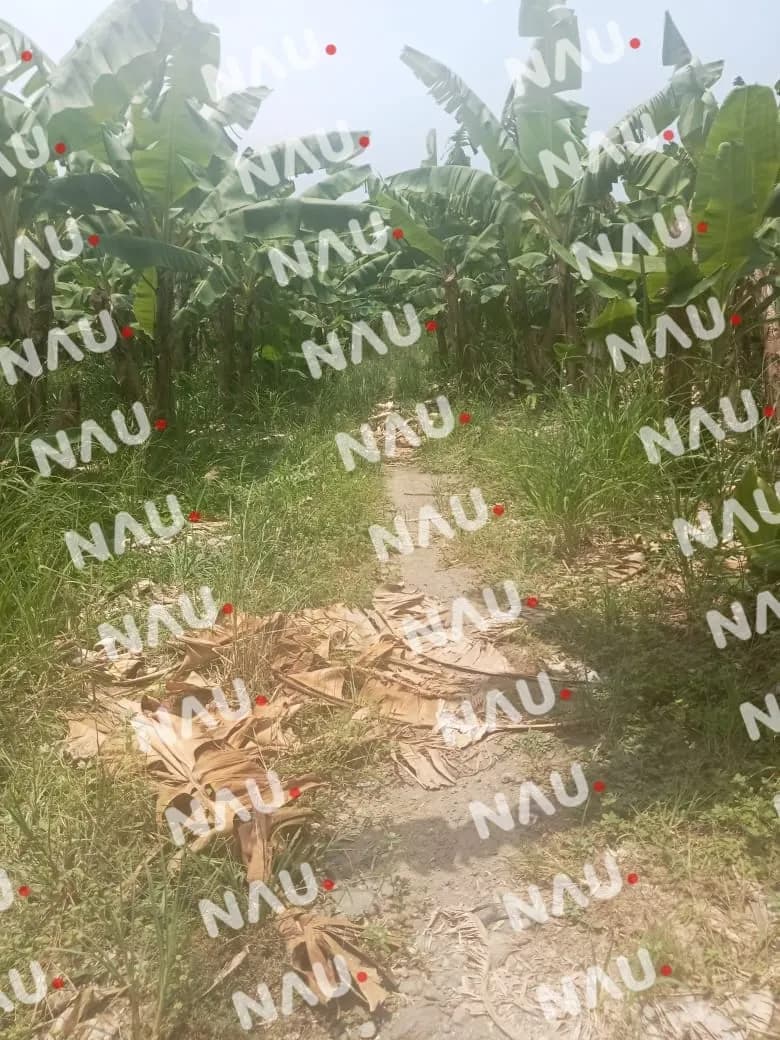 Presunto traficante de drogas torturado y asesinado en Suchiate, Chiapas