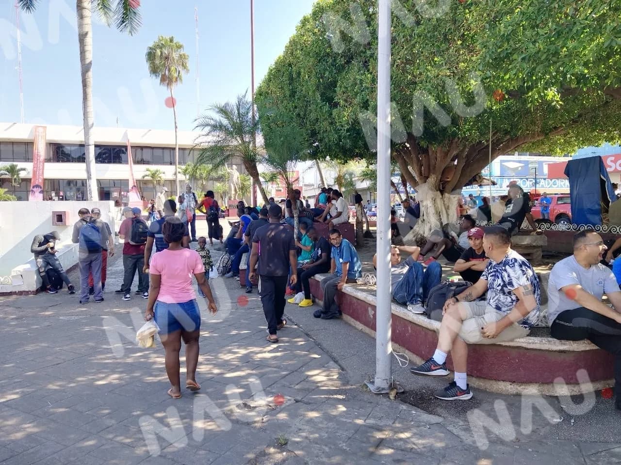 Comunidad migrante, renuente a realizar su trámite migratorio “Vídeo”