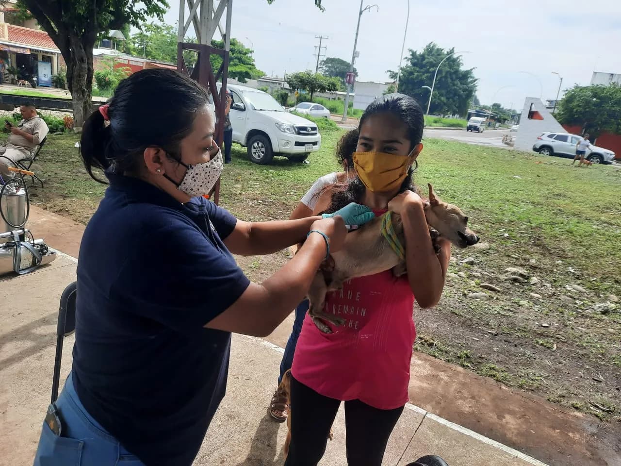 INICIA JORNADA DE VACUNACIÓN ANTIRRÁBICA CANINA Y FELINA TAPACHULA 2022