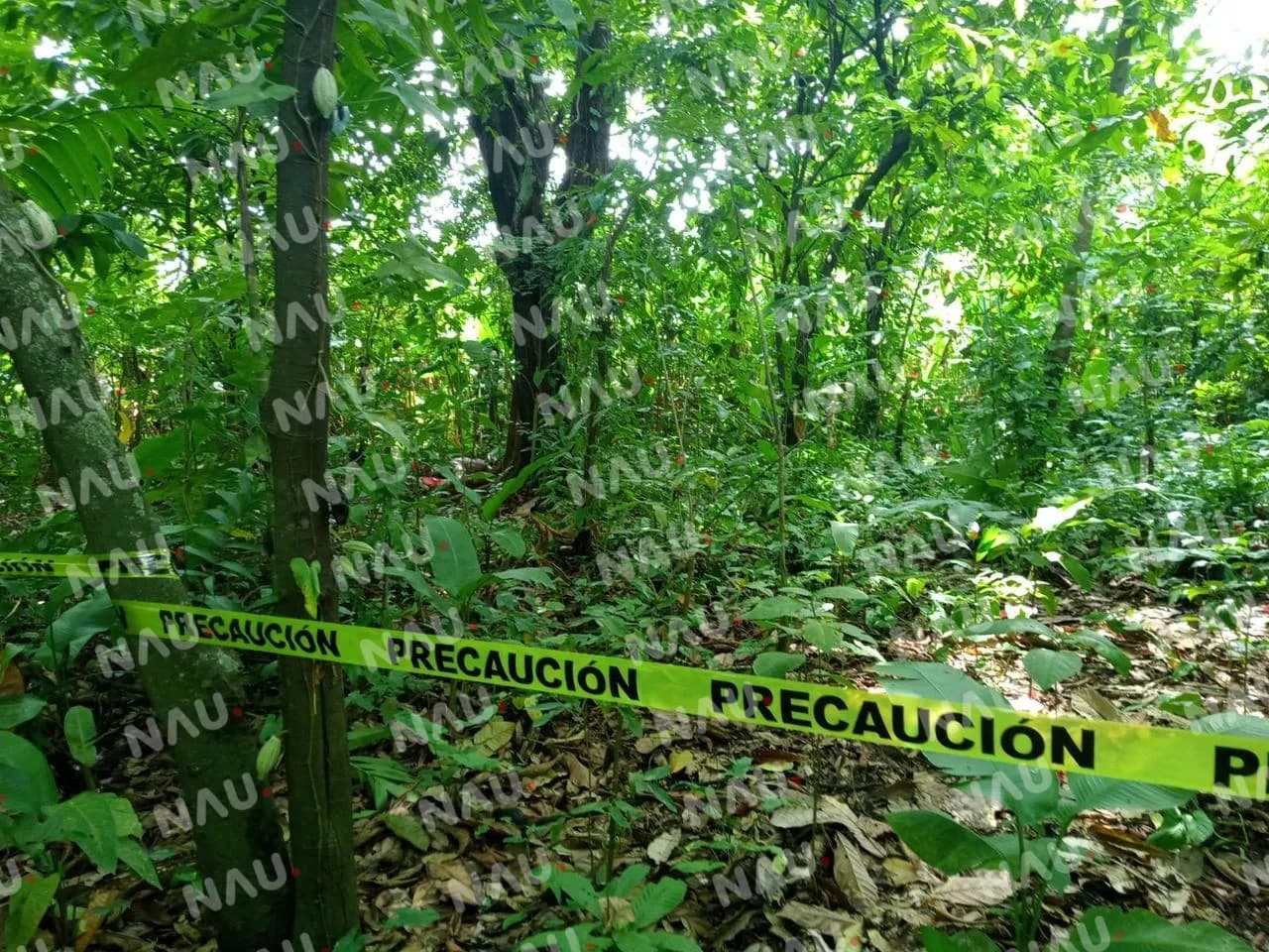 Lo mataron a cuchilladas en Tuxtla Chico