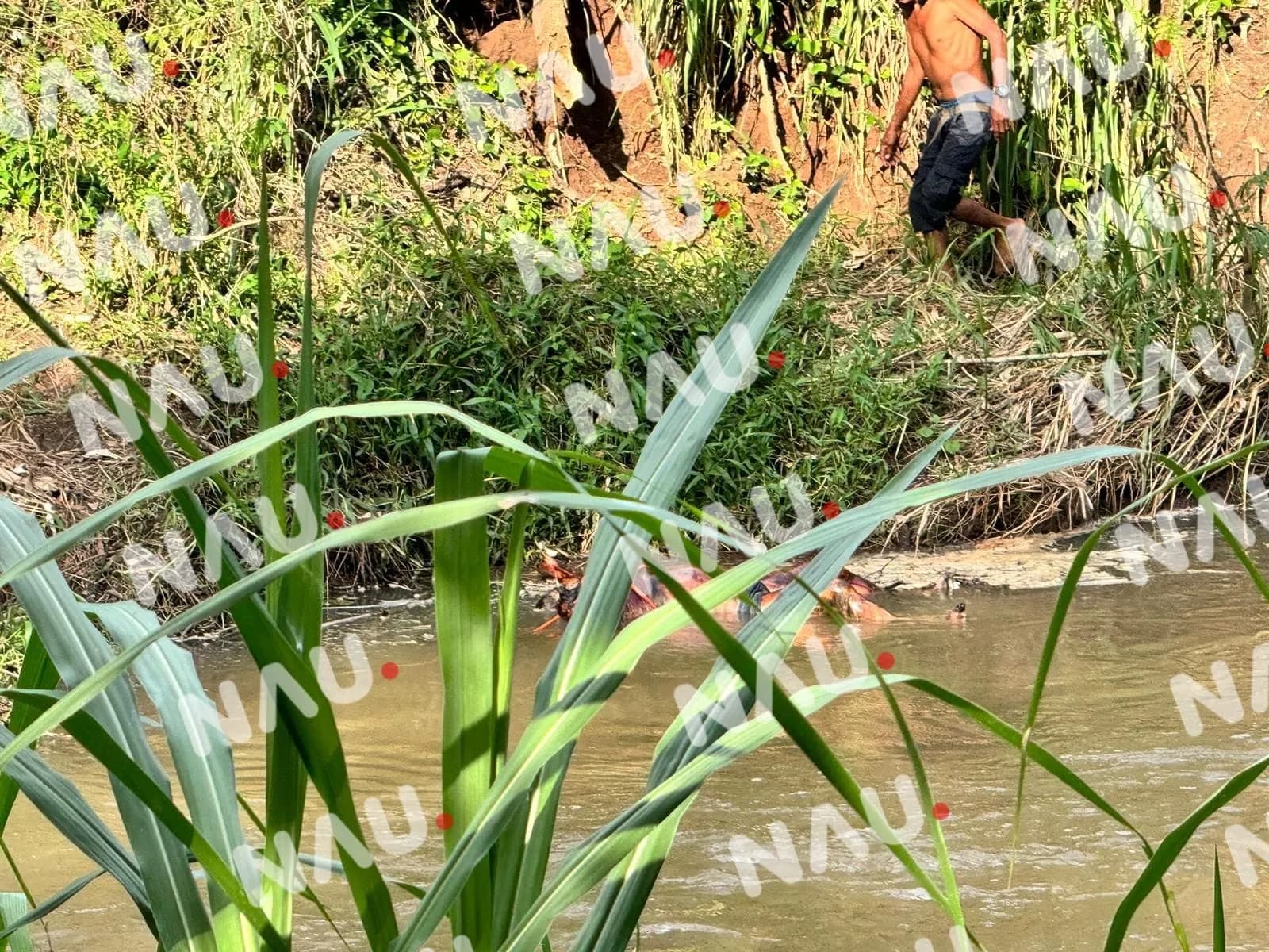 Persona Ahogada fue Encontrada en Avanzado Estado de Descomposición en un río en Álvaro Obregón