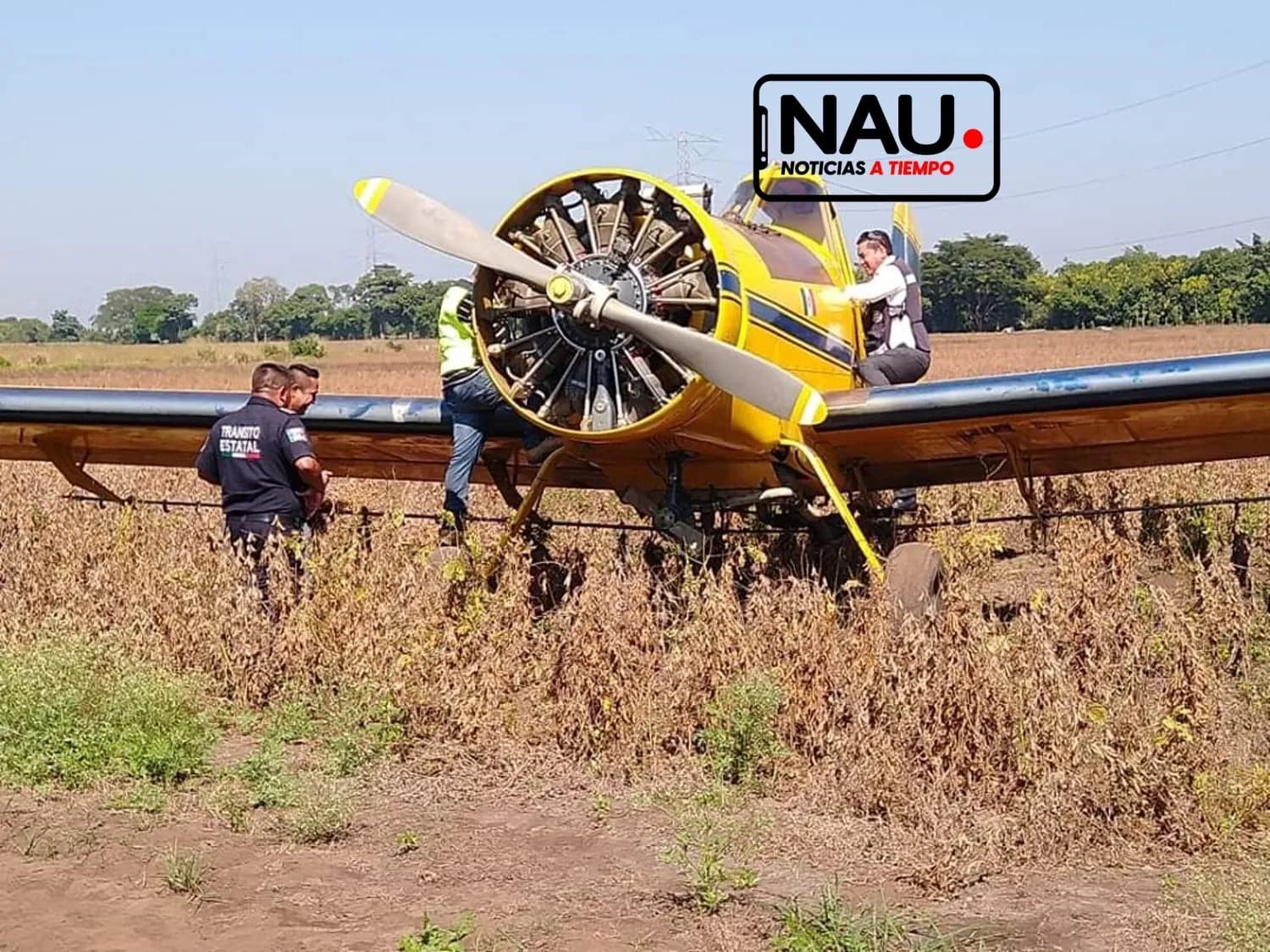 Realiza avioneta fumigadora aterrizaje forzoso en la zona baja