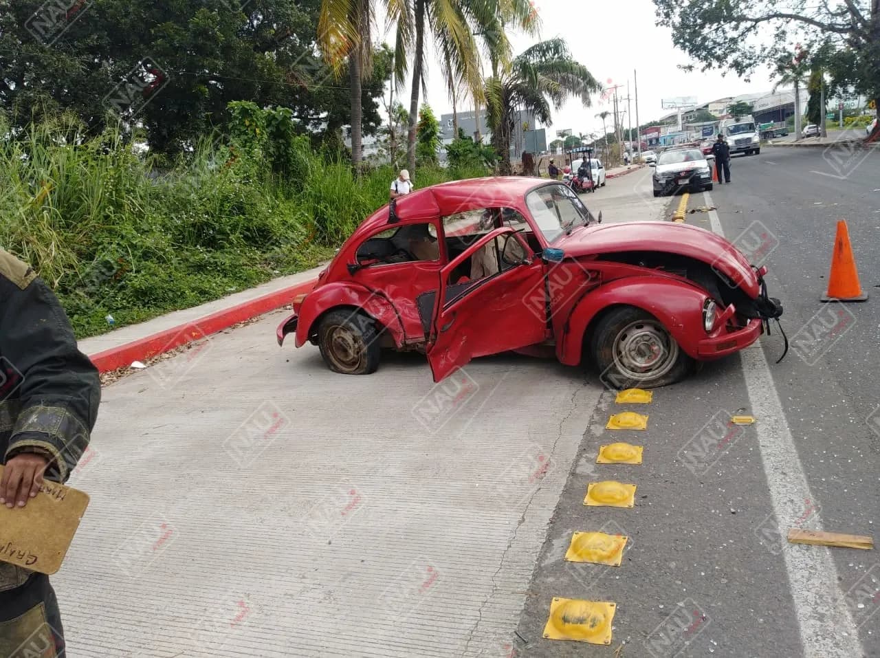 Un lesionado y un perro muerto deja accidente