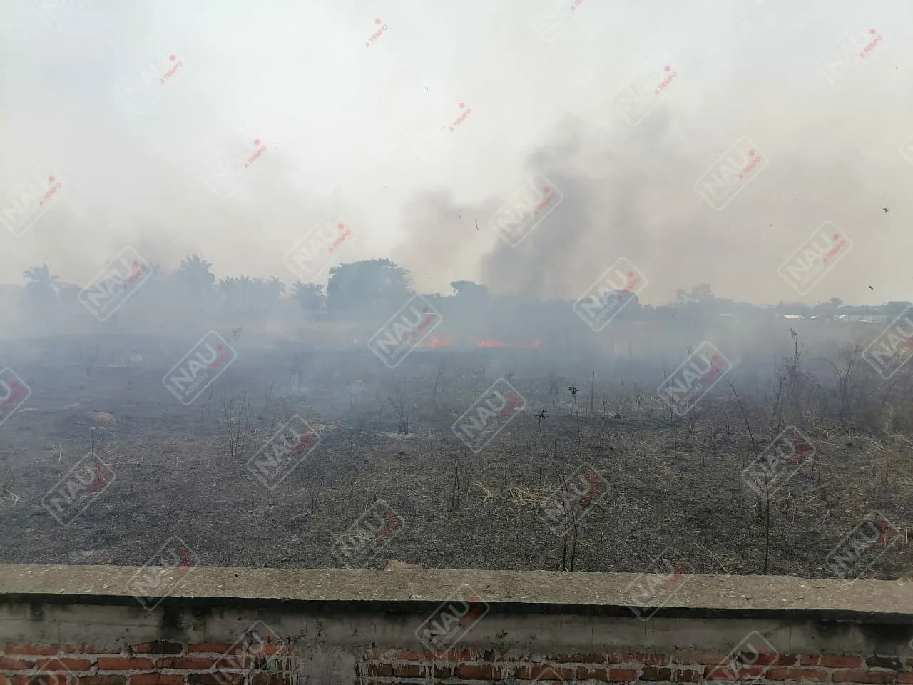 Tapachula bajo el humo por incendios de pastizales