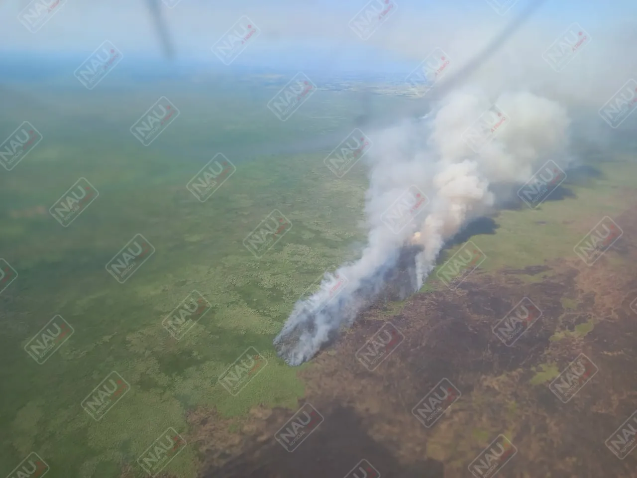 Sofocan incendio de la Reserva de la Biósfera “La Encrucijada”